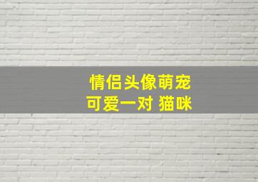 情侣头像萌宠可爱一对 猫咪